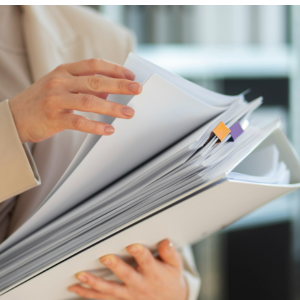 untitled design 2026 01 23t122715.353